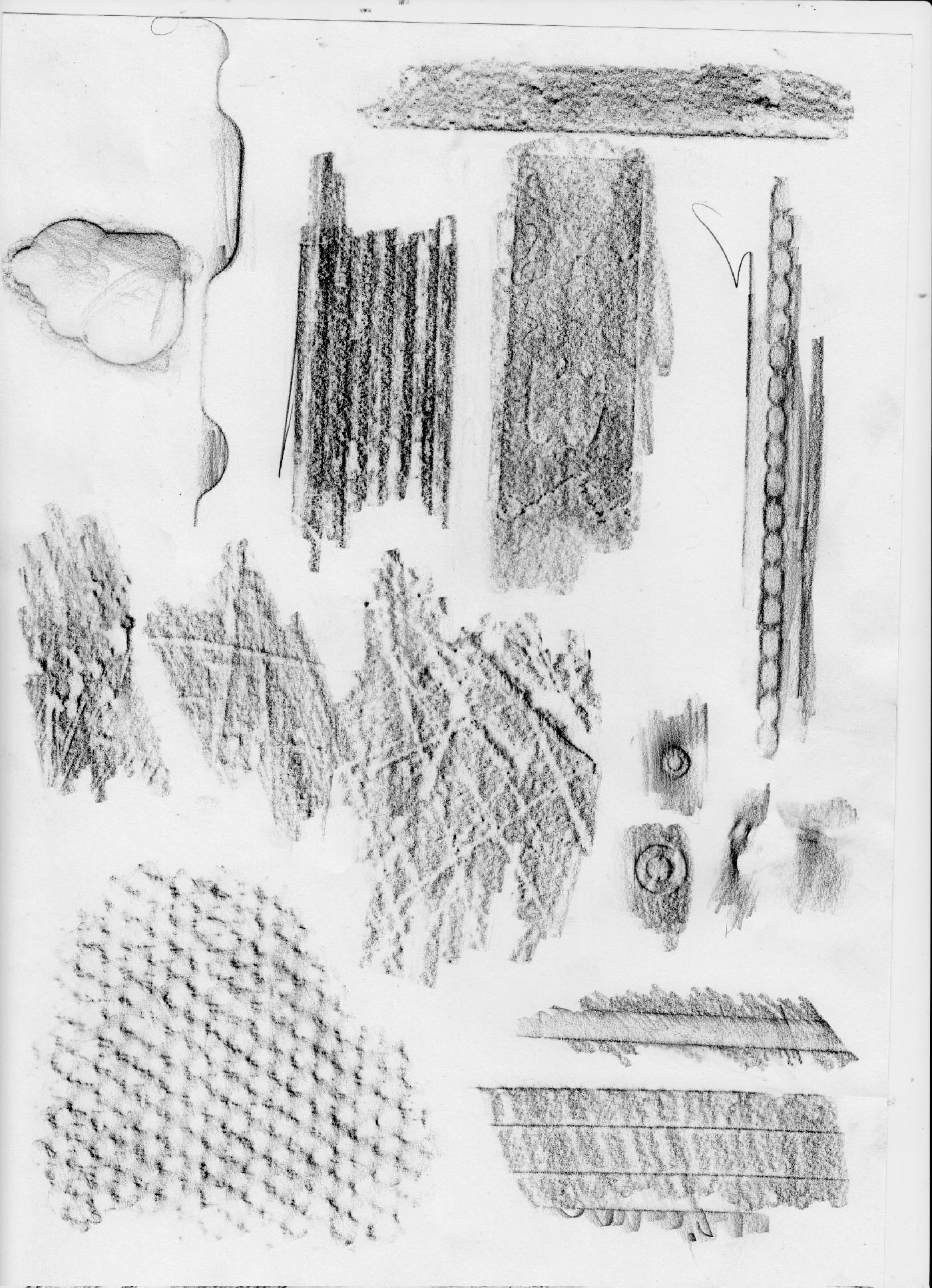 Drawing Workshop